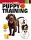 Go to record Puppy training
