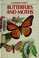 Go to record Butterflies and moths : a guide to the more common America...