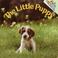 Go to record The little puppy
