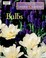 Go to record Bulbs
