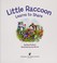 Go to record Little Raccoon learns to share