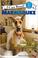 Go to record Meet Marmaduke