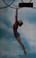 Go to record Tumbling