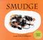 Go to record Smudge