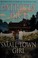 Go to record Small town girl : a novel