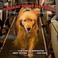 Go to record Tuesday takes me there : the healing journey of a veteran ...
