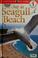 Go to record A day at Seagull beach